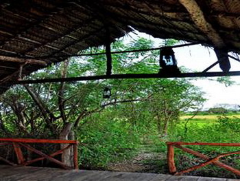 Sri Lanka, Dambulla, Kassapa Lion Rock